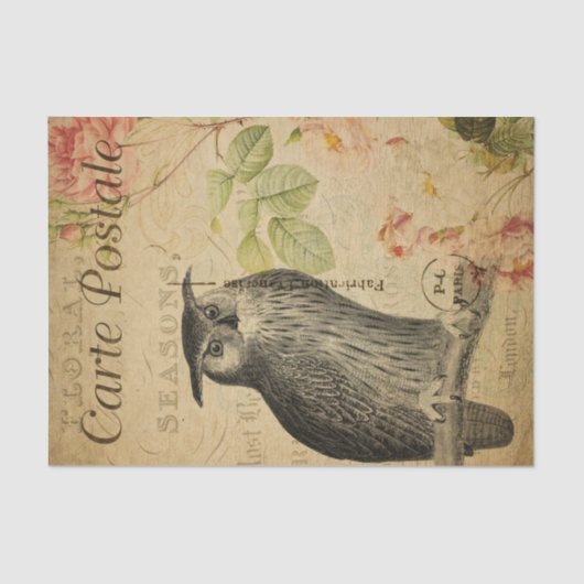Ephemera French Briefkaart Owl roze Roses ontkoppe Tissuepapier (Voorkant)
