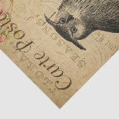 Ephemera French Briefkaart Owl roze Roses ontkoppe Tissuepapier (Detail)