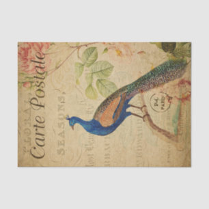 Ephemera French Briefkaart Peacock Decoupage Tissuepapier
