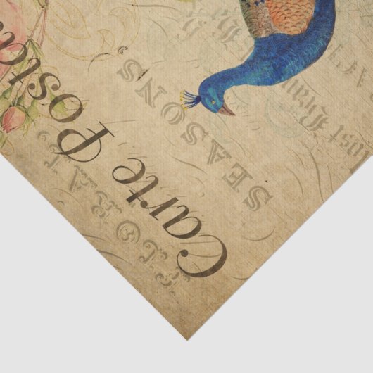 Ephemera French Briefkaart Peacock Decoupage Tissuepapier (Detail)