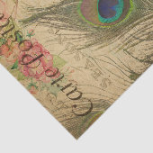 Ephemera French Briefkaart Peacock Feather Decoupa Tissuepapier (Detail)