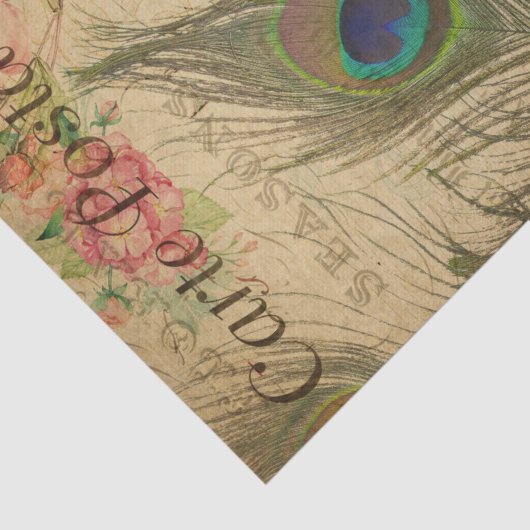 Ephemera French Briefkaart Peacock Feather Decoupa Tissuepapier (Detail)