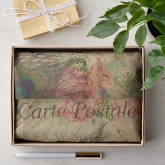 Ephemera French Briefkaart Peacock Feather Decoupa Tissuepapier (Geschenk)