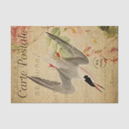 Ephemera French Briefkaart Tern Bird Decoupage Tissuepapier