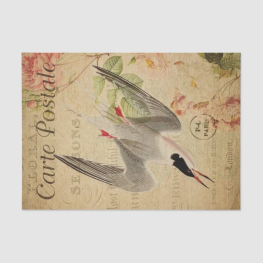 Ephemera French Briefkaart Tern Bird Decoupage Tissuepapier (Voorkant)