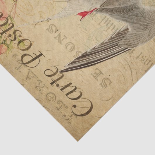 Ephemera French Briefkaart Tern Bird Decoupage Tissuepapier (Detail)