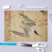 Ephemera French Briefkaart Tern Bird Decoupage Tissuepapier (Craft)