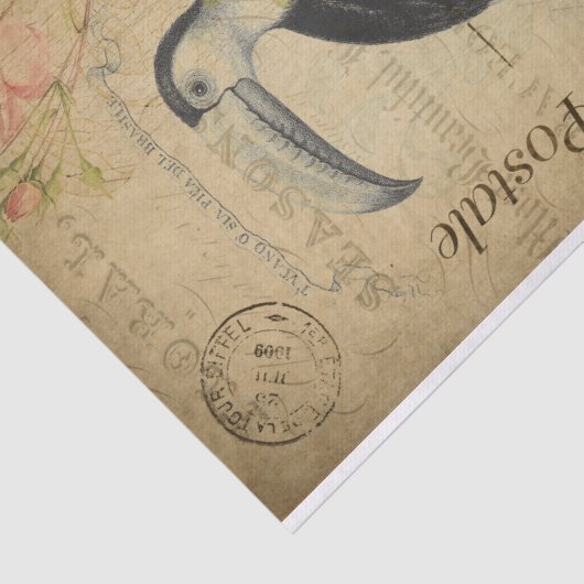 Ephemera French Briefkaart Toucan Bird Decoupage Tissuepapier (Detail)