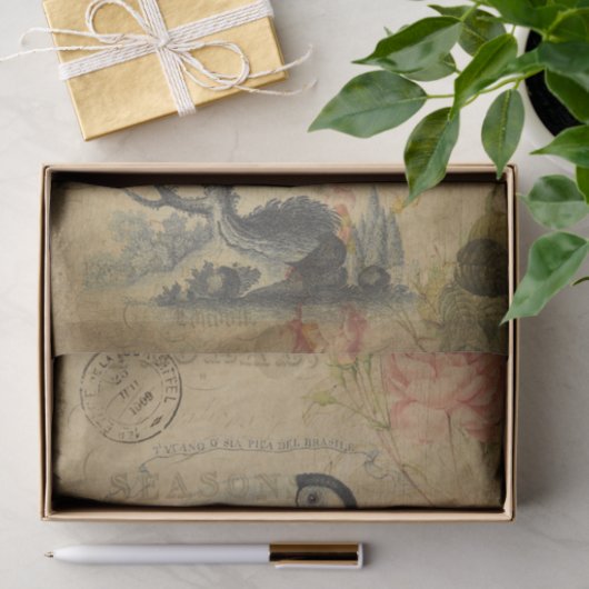 Ephemera French Briefkaart Toucan Bird Decoupage Tissuepapier (Geschenk)