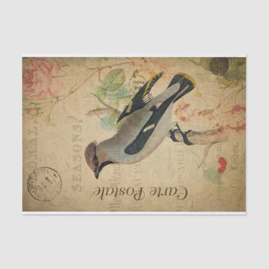 Ephemera French Briefkaart Waxing Bird Decoupage Tissuepapier (Voorkant)