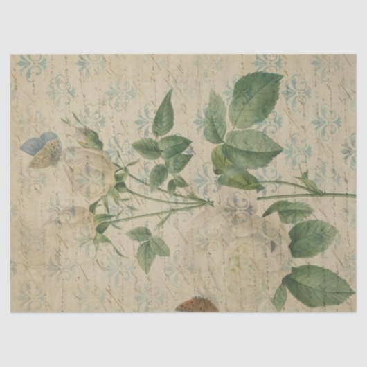 Ephemera French Paper Series Design 3 Tissuepapier (Voorkant)