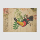 Ephemera French Tropical Toucan Bird Decoupage Tissuepapier (Voorkant)