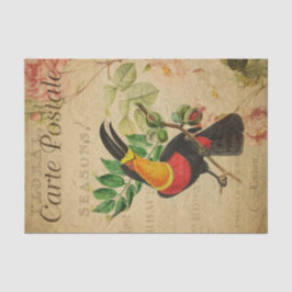 Ephemera French Tropical Toucan Bird Decoupage Tissuepapier