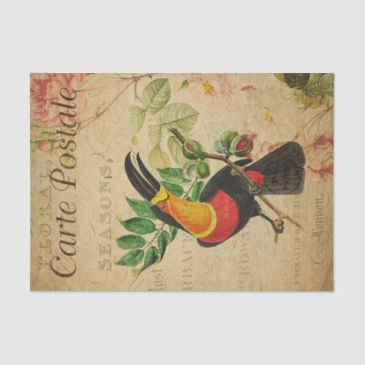 Ephemera French Tropical Toucan Bird Decoupage Tissuepapier (Voorkant)