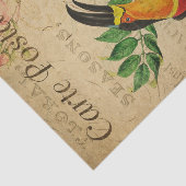 Ephemera French Tropical Toucan Bird Decoupage Tissuepapier (Detail)