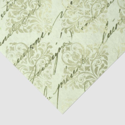 Ephemera Green Paper Series Design 10 Tissuepapier (Detail)