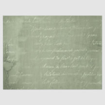 Ephemera Green Paper Series Design 22