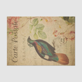 Ephemera Himalayan Monal Pheasant Bird Decoupage Tissuepapier