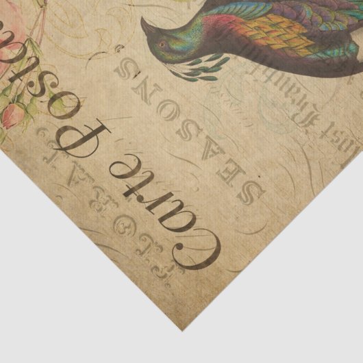 Ephemera Himalayan Monal Pheasant Bird Decoupage Tissuepapier (Detail)