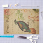 Ephemera Himalayan Monal Pheasant Bird Decoupage Tissuepapier (Craft)