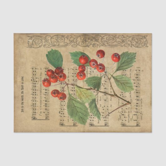 Ephemera Holly De Heer is ontkoppeling Tissuepapier (Voorkant)