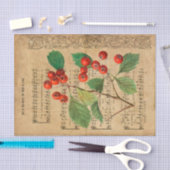 Ephemera Holly De Heer is ontkoppeling Tissuepapier (Craft)