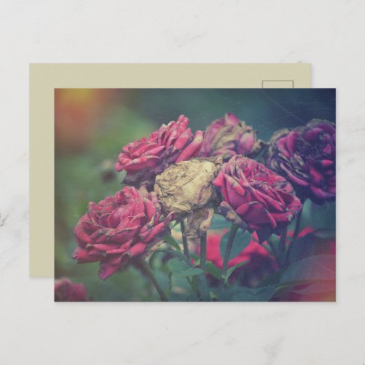 Ephemera Journal Craft Briefkaart Rozen (Voorkant / Achterkant)