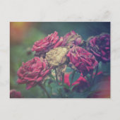 Ephemera Journal Craft Briefkaart Rozen (Voorkant)