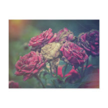 Ephemera Journal Craft Briefkaart Rozen