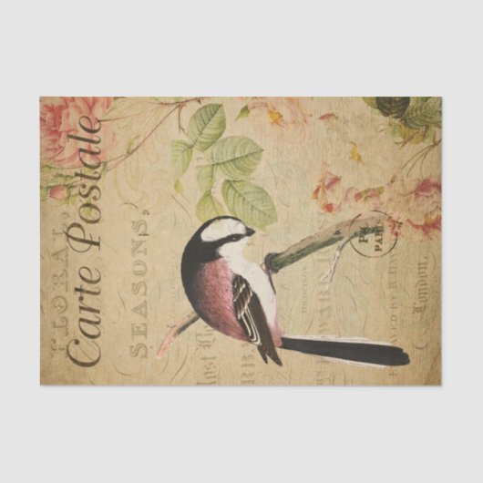 Ephemera Long-Tailed Tit Bird Roses Decoupage Tissuepapier (Voorkant)