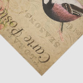 Ephemera Long-Tailed Tit Bird Roses Decoupage Tissuepapier (Detail)