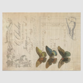 Ephemera-ontkoppelingstok Tissuepapier