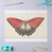  ephemera Red Butterfly Moth ontkoppeling Tissuepapier (Craft)