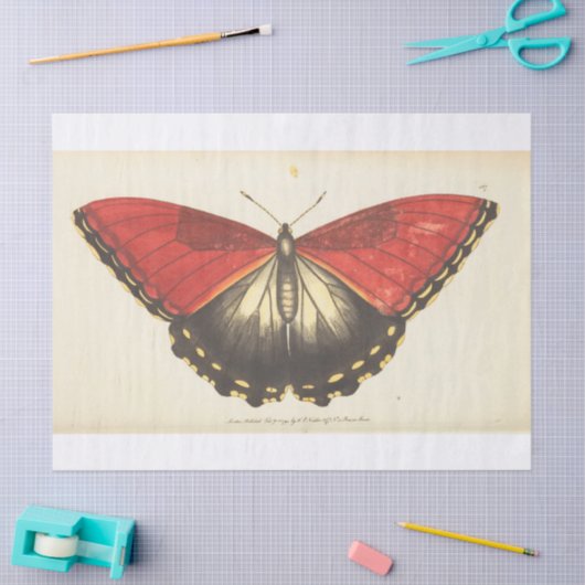 ephemera Red Butterfly Moth ontkoppeling Tissuepapier (Craft)