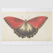  ephemera Red Butterfly Moth ontkoppeling Tissuepapier (Voorkant)