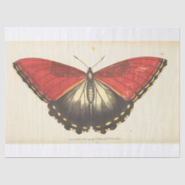 ephemera Red Butterfly Moth ontkoppeling Tissuepapier