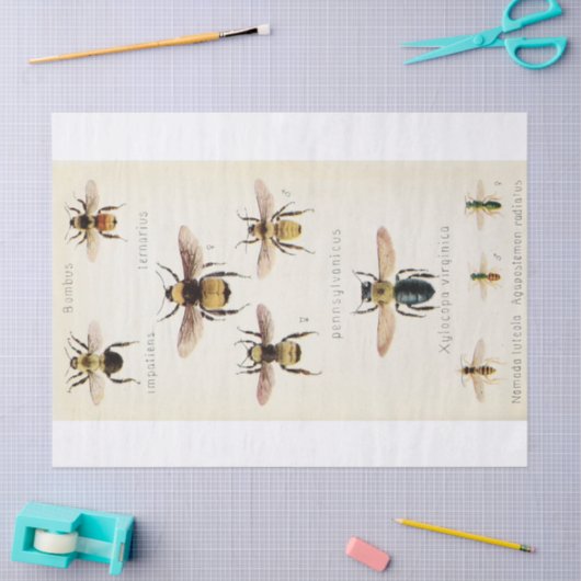 Ephemera Script Bee Decoupage Tissuepapier (Craft)