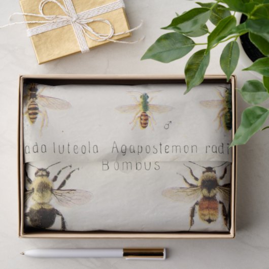 Ephemera Script Bee Decoupage Tissuepapier (Geschenk)