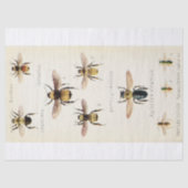 Ephemera Script Bee Decoupage Tissuepapier (Voorkant)