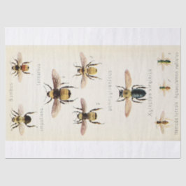 Ephemera Script Bee Decoupage Tissuepapier