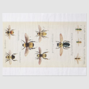  Ephemera Script Bee Decoupage Tissuepapier