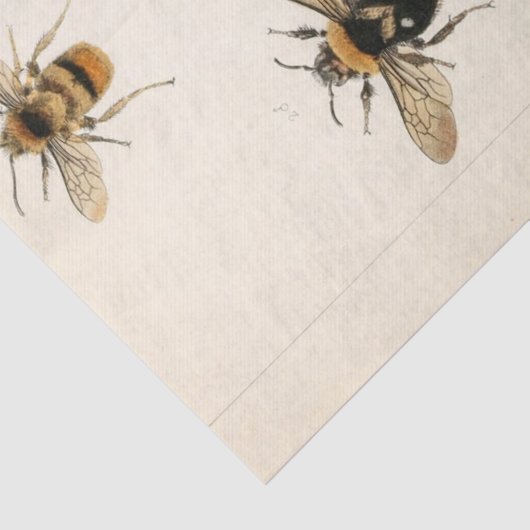 Ephemera Script Bee Decoupage Tissuepapier (Detail)