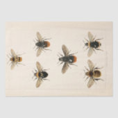 Ephemera Script Bee Decoupage Tissuepapier (Voorkant)