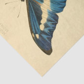  Ephemera Script Blue Butterfly Decoupage Tissuepapier (Detail)