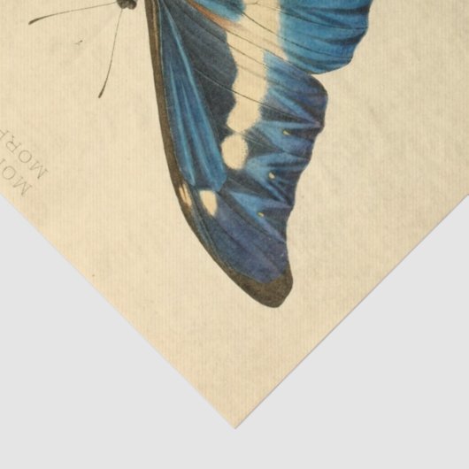  Ephemera Script Blue Butterfly Decoupage Tissuepapier (Detail)