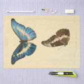  Ephemera Script Blue Butterfly Decoupage Tissuepapier (Craft)