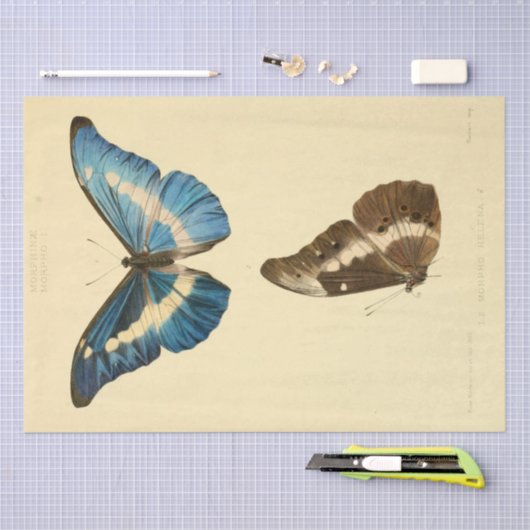 Ephemera Script Blue Butterfly Decoupage Tissuepapier (Craft)