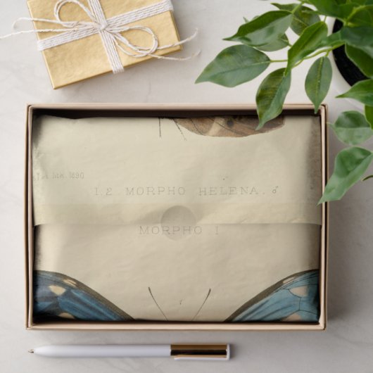 Ephemera Script Blue Butterfly Decoupage Tissuepapier (Geschenk)