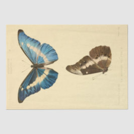 Ephemera Script Blue Butterfly Decoupage Tissuepapier