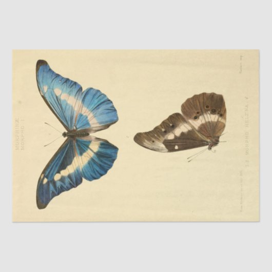  Ephemera Script Blue Butterfly Decoupage Tissuepapier (Voorkant)